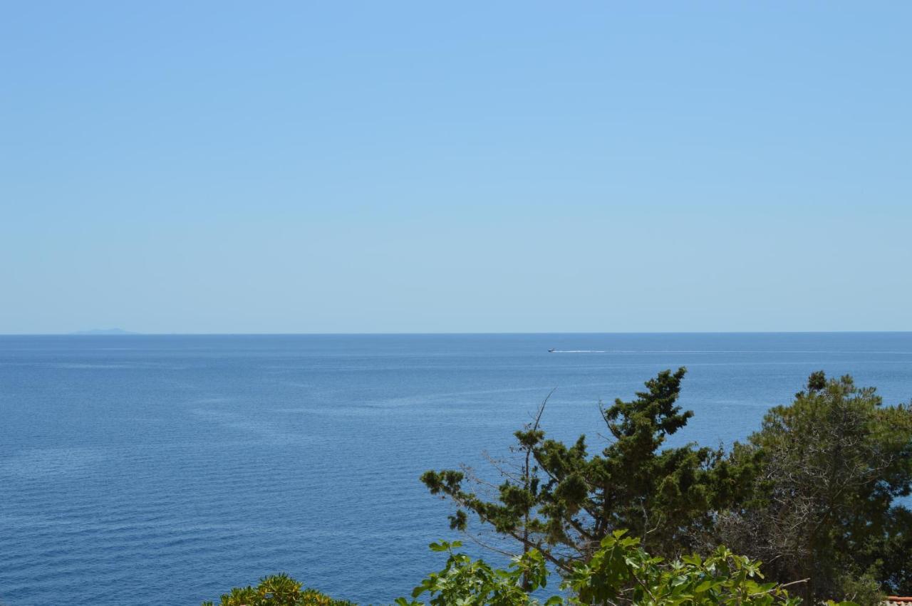 Antonia's Place By Kristonia Hvar Town